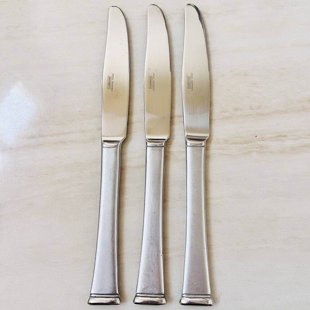3pc CAMBRIDGE CBS98 Stainless Dinner Knife 9 3/8” Frosted 18/8 Glossy Tip & Bowl